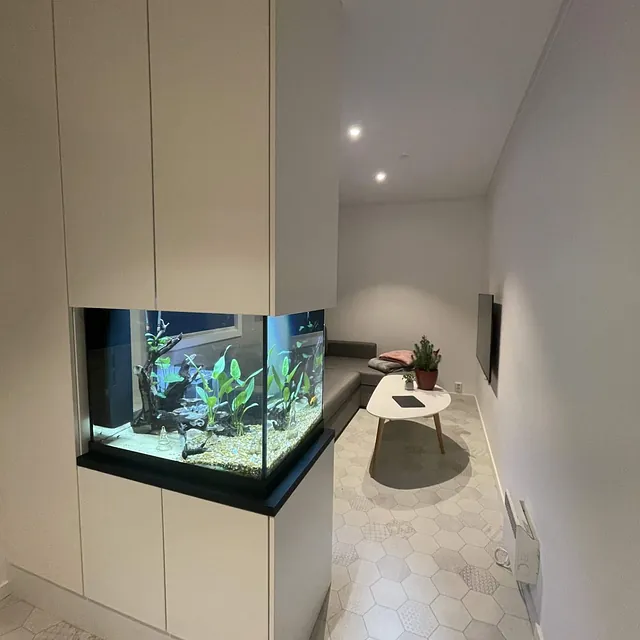 Stue med innebygget akvarium, grå sofa og lys sekskantet gulvflis.